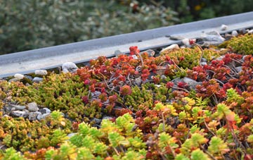 the cost of Watendlath green roof installation