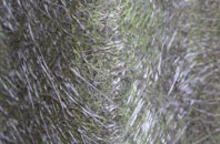 Watendlath fibreglass roof work